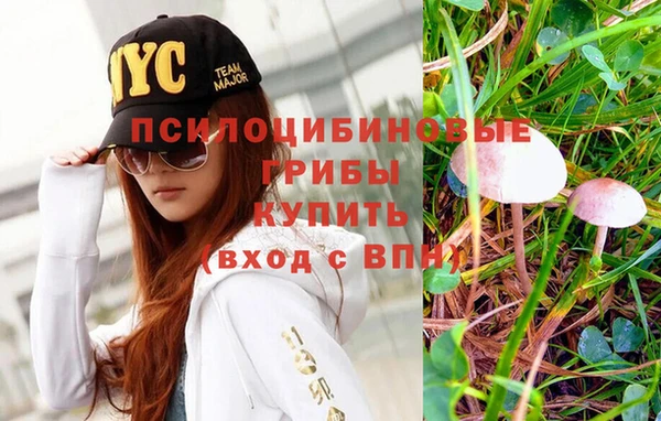 2c-b Абдулино