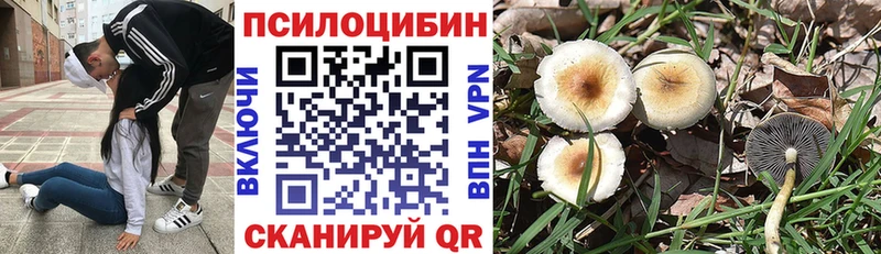 Псилоцибиновые грибы GOLDEN TEACHER  Нелидово 